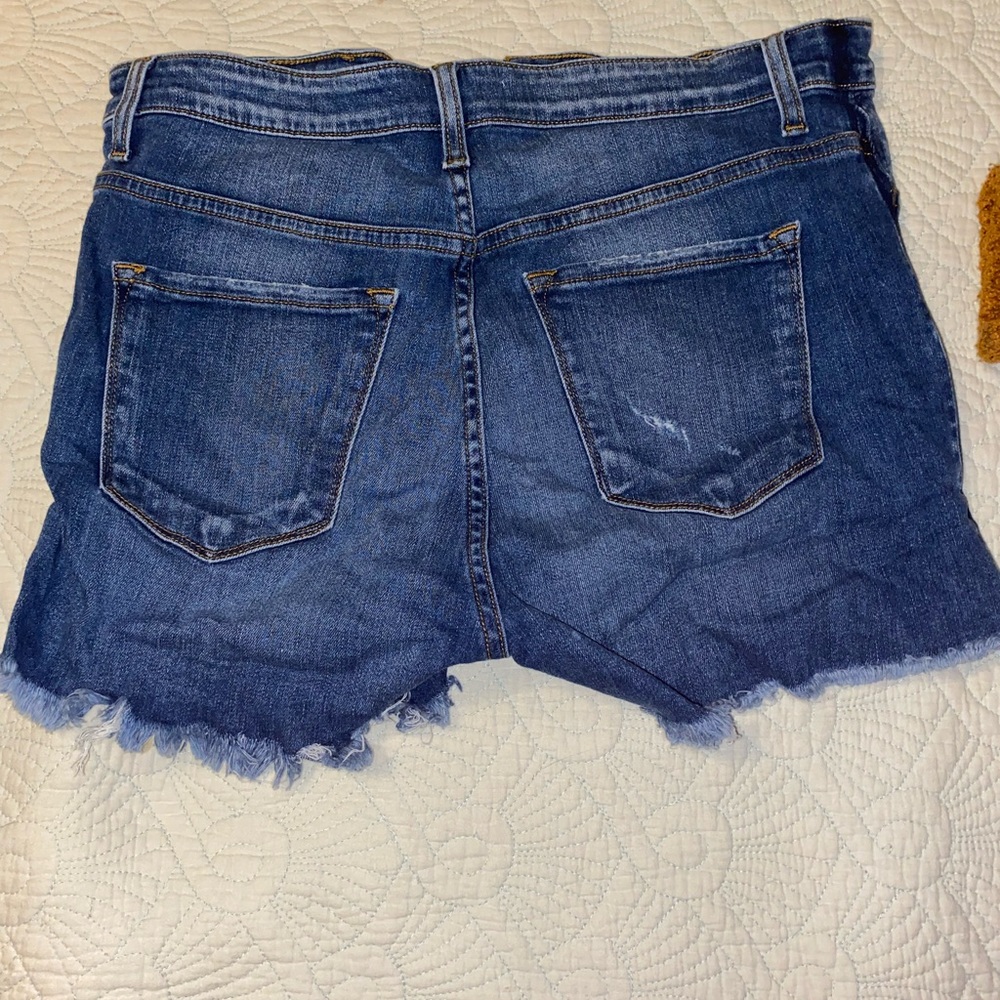 Flying monkey shorts